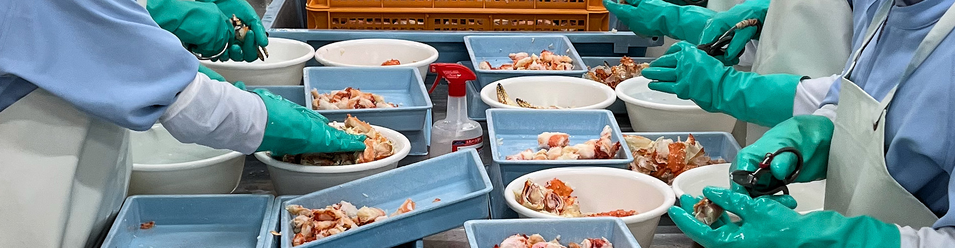 かに加工・販売